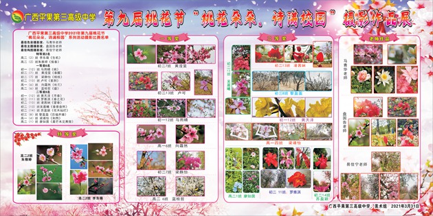 1617090045858037.jpg 14.jpg