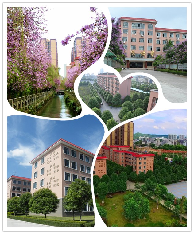 1646999350494406.jpg 20200726051234908.jpg