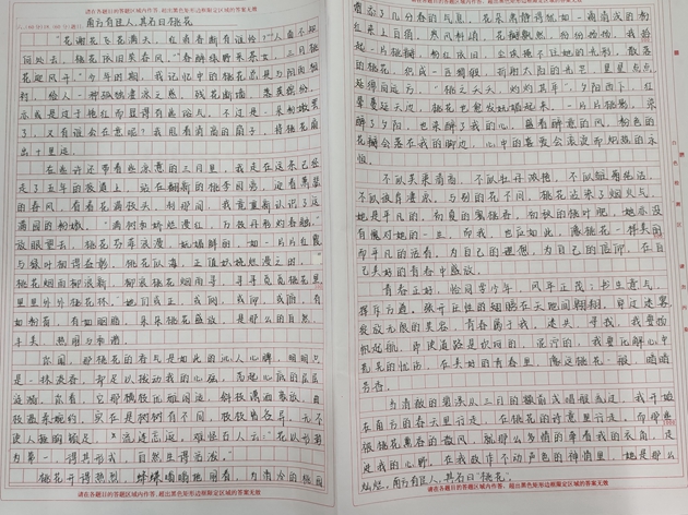 1649300469742733.jpg 26.jpg