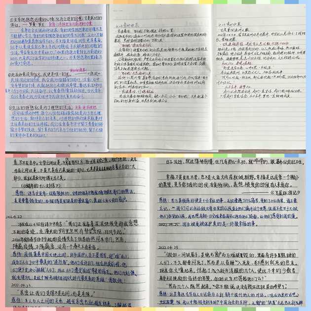 1651195514837178.jpg 527.jpg