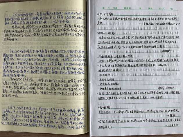 1651195535941517.jpg 516.jpg