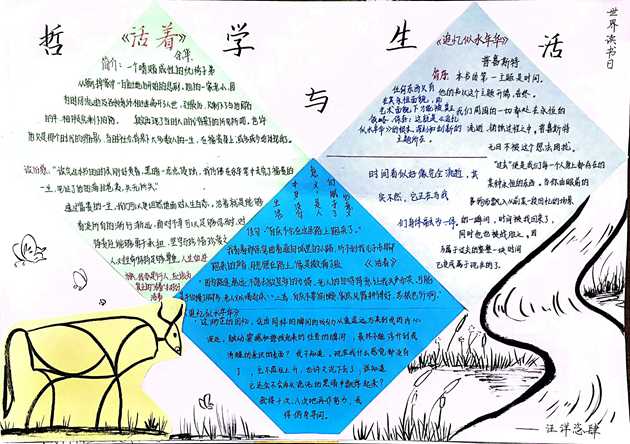 1651196164686472.jpg 537.jpg