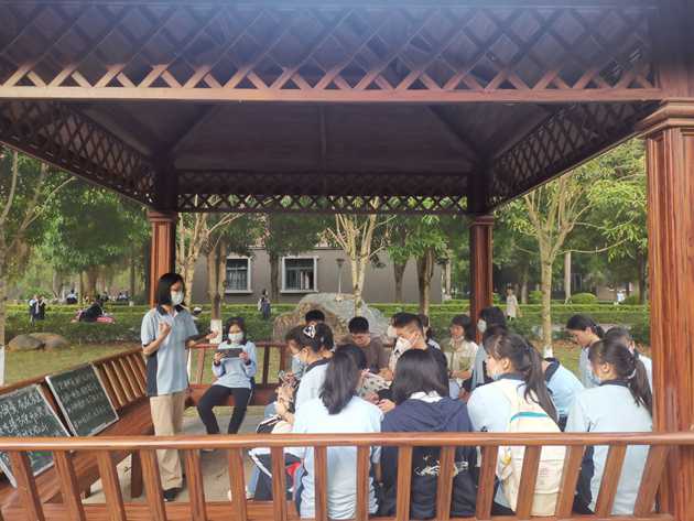 1651197202503437.jpg 544.jpg