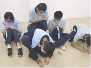 1653447344275567.jpg 115.jpg