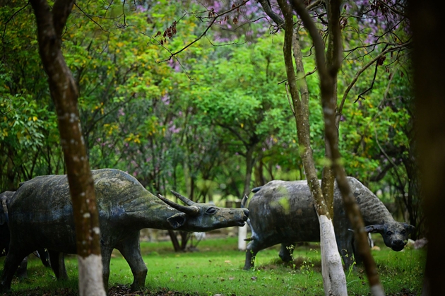 1657857568922047.jpg QQ图片20220714174120.jpg