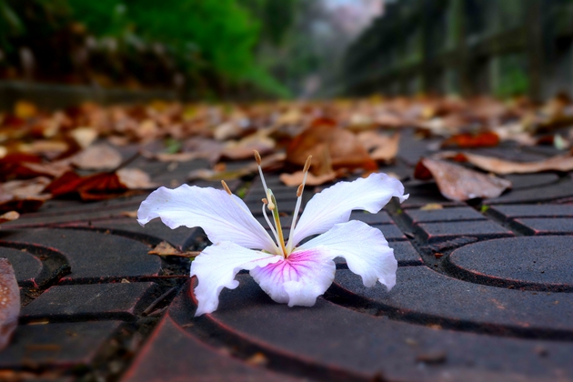 1659266325619511.jpg DSC_0112.jpg