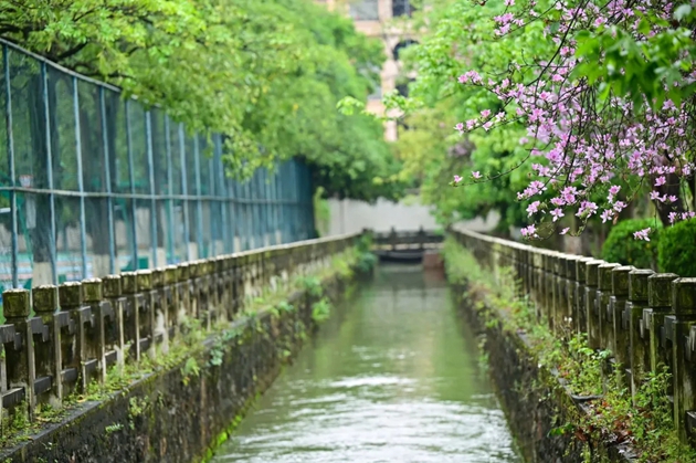 1668334725441108.jpg 11.jpg