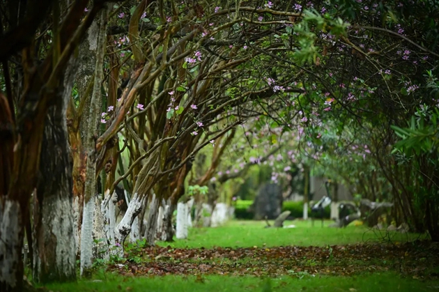 1668334847306543.jpg 14.jpg