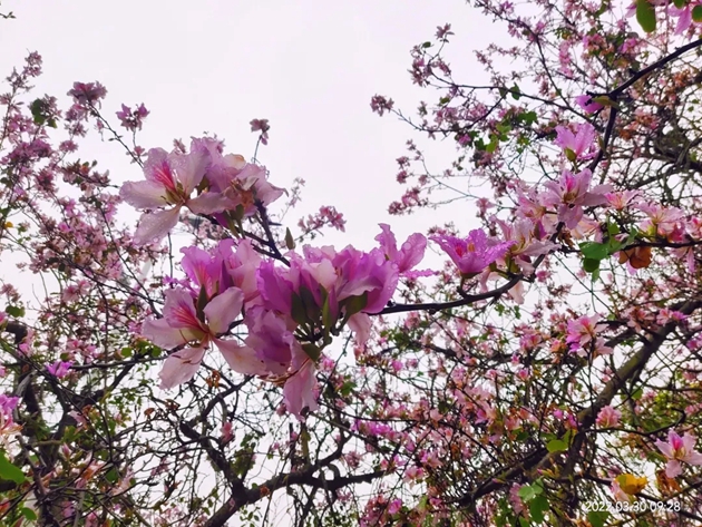 1668334877488398.jpg 15.jpg