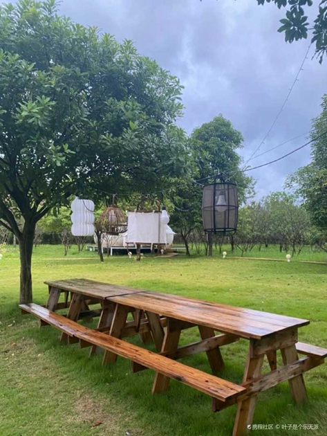 1678269715783740.jpg 105.jpg